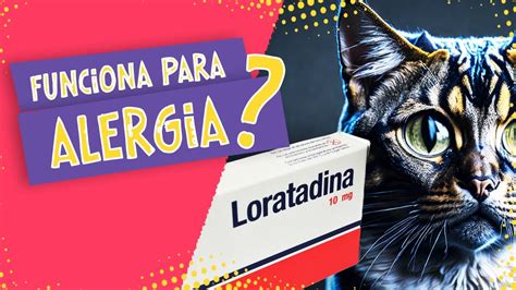 Pode Dar LORATADINA Para GATO YouTube