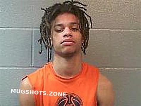 Durham Darrion James Huron County Mugshots Zone