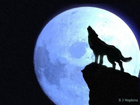 🔥 [70+] Wolf Howling At The Moon Wallpapers | WallpaperSafari