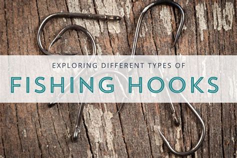 Exploring Different Types Of Fishing Hooks Kitsap Fish And Outdoor