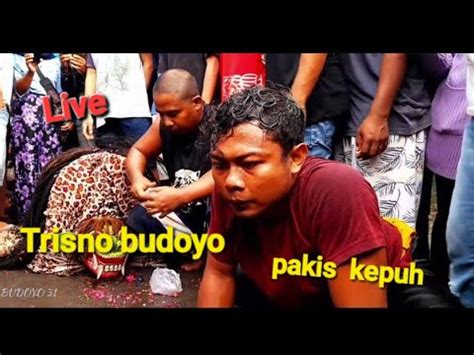 Live Seni Jaranan Trisno Budoyo Live Pakis Kepuh Youtube