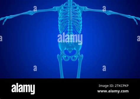 Blue Hologram Lumbar Spine Joint Pain Caused By Wear And Tear Of