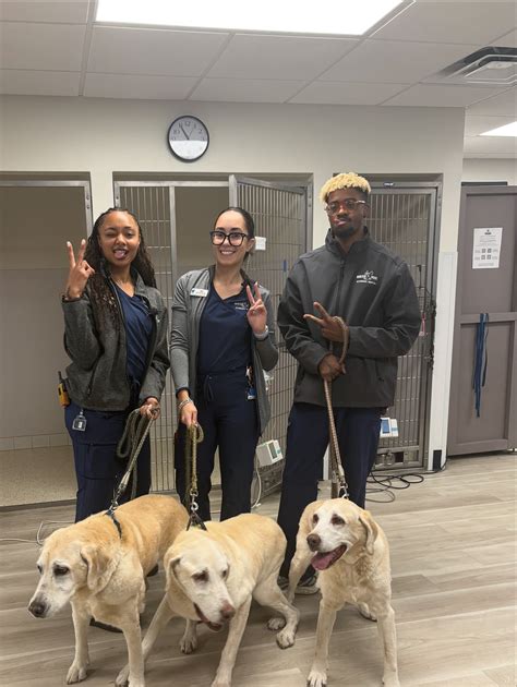 Winter Park Veterinary Hospital | Winter Park FL