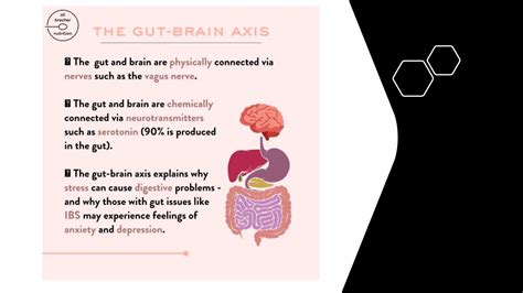 Gut Brain Axis Pptx Bidirectional Communication Ppt