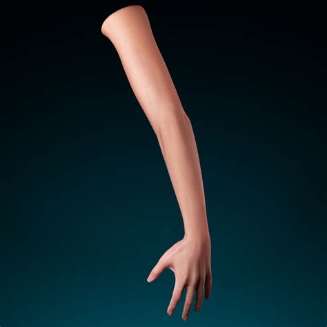 Female Arm 3d Model 49 Max Free3d