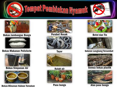 Cara Mencegah Pembiakan Nyamuk Aedes Lauraewabishop