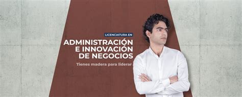 Licenciatura En Administracion E Innovacion De Negocios Umad