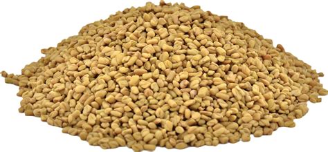 Download Organic Fenugreek Seeds Fenugreek Full Size Png Image Pngkit