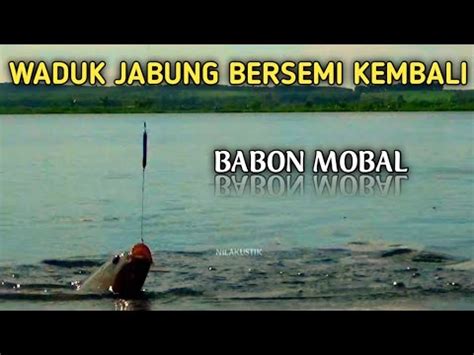 Edian Di Hajar Babon Bertubi Tubi Campuran Lumut Terbaru Mancing Ikan