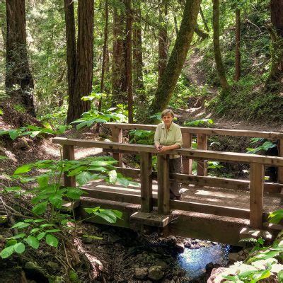 Fallen Bridge Trifecta Hike | Jack London State Historic Park