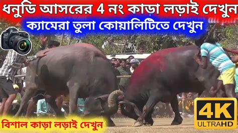 ধনুডি আসরের 4 নং কাড়া লড়াই দেখুন ক্যামেরার তুলা Hd Quality Dhanudih