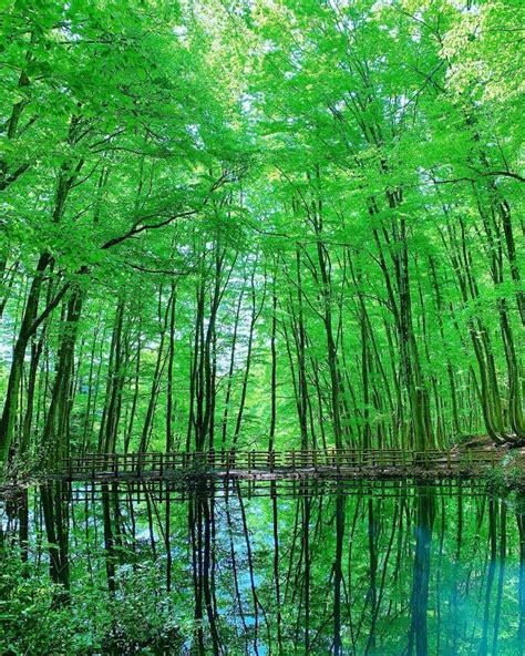 神秘的な新緑ツアーはいかが？初夏に行くべき“神秘的×新緑”の絶景10選 Navitime Travel