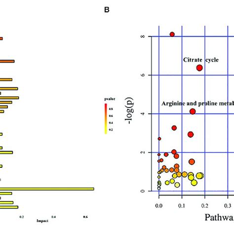 Metabolic Pathway Analysis A Histogram Of Metabolic Pathways B