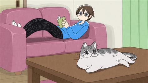 アニメ『夜は猫といっしょ』公式🐾毎週水曜に配信中！ On Twitter ╭━━━━━━━━━━━━━╮ アニメ『夜は猫といっしょ』 第