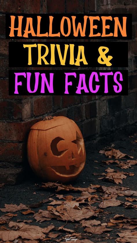 A Pumpkin With The Words Halloween Trivia And Fun Fact