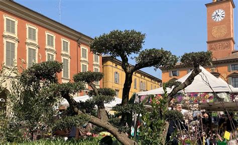 Tornano i colori di Reggio Emilia in fiore nel cuore della città 24Emilia