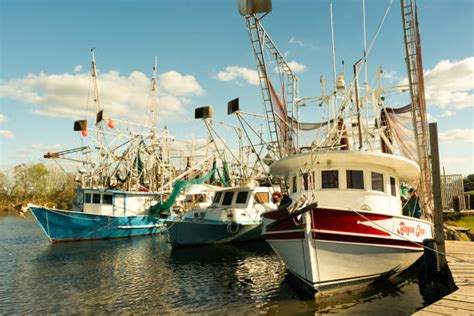 Shrimp Boat Stock Photos Pictures And Royalty Free Images Istock