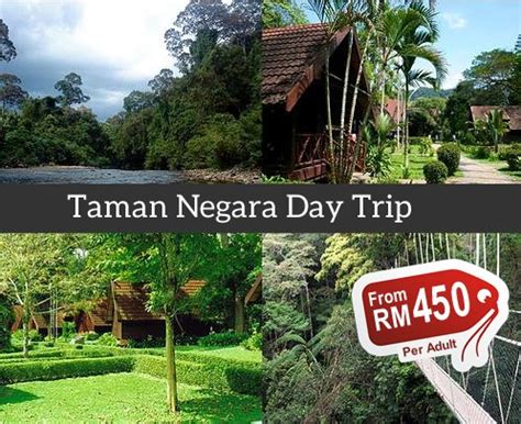 Taman Negara Day Trip | Taman Negara Tour Package