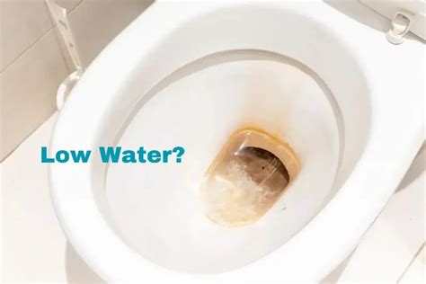 Can LOW Water In The Toilet Bowl Cause DAMAGE Find Out How To Prevent