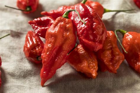 Ghost Pepper Guide: Heat, Flavor, Pairings, And More