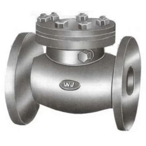 Wj Cast Carbon Steel Swing Check Valve Ibr At Best Price In Delhi