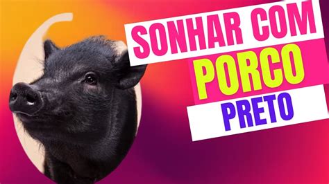 Sonhar Porco Preto O Que Significa Sonhar Porco Youtube