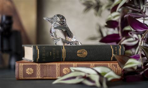 Steuben Kookaburra Hand Cooler Shops At The Corning Museum Of Glass