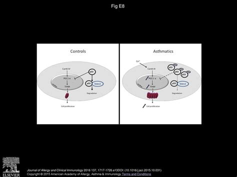 Selective dysfunction of p53 for mitochondrial biogenesis induces ...