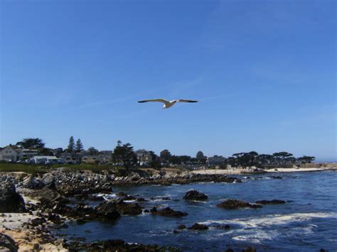 Monterey Peninsula (309 reasons to visit) - TripAdvisor - Best Travel ...