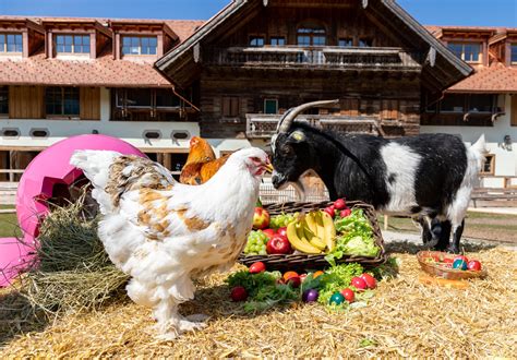 Ostern Auf Gut Aiderbichl Henndorf Gut Aiderbichl