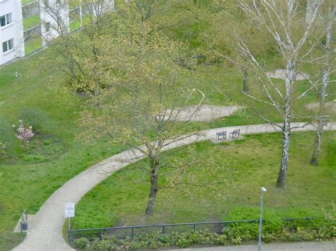 Frühling Warum in Ferne schweifen wenn sie vor der Flickr