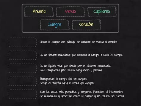 Actividad Parte Efectos Nocivos Del Cigarrillo Ingresa Tu Nombre