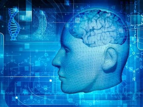 Could Quantum Brain Effects Explain Consciousness Live Science