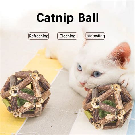 Catnip Ball Cats Toys Delicate Balls Cleaning Cat Teeth Pets Healthy