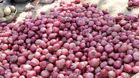 Maharashtra Onion Farmers Protest On Highway Stop Auctions In Some