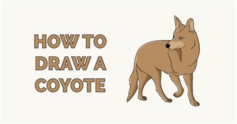 How To Draw A Coyote Really Easy Drawing Tutorial Coyote Drawing