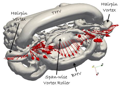 Q Criterion Iso Surfaces Q Of The Head Vortices Forming