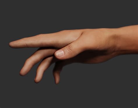 3D Hand Rigged Model - TurboSquid 1595863