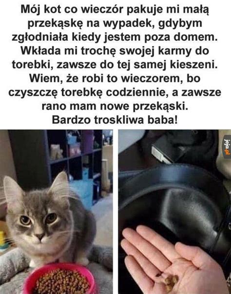 Ale miło Jeja pl