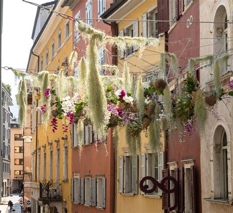 Fiori Al Centro UnserTirol24