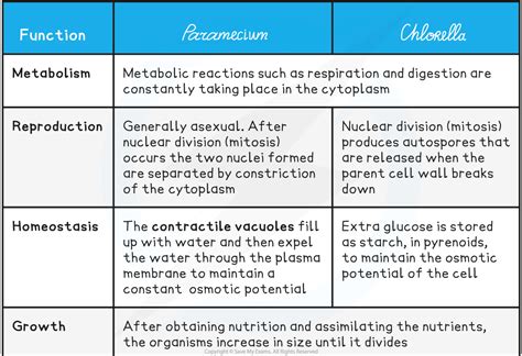 Ib Dp Biology Hl复习笔记1 1 2 Functions Of Life 翰林国际教育