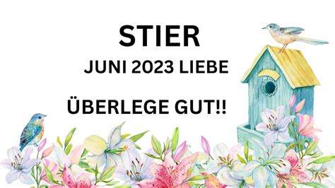 Stier Tarot Juni Liebe Berlege Gut Youtube