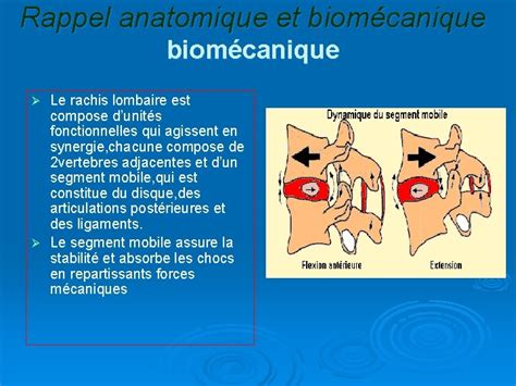 Prise En Charge Rducative Des Lombalgies Chroniques Dr