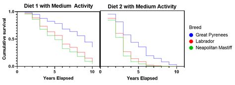 The Ultimate Guide To Survival Analysis