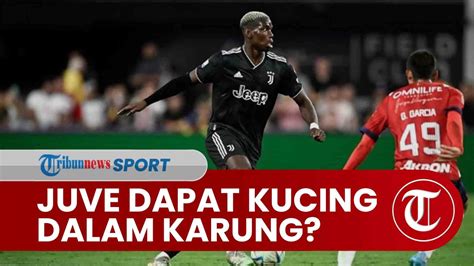 Paul Pogba Cedera Lutut Serius Kemungkinan Operasi Dipastikan Absen