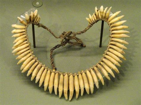 File Necklace Of Ocelot Teeth Ka Apor People Urubu Kaapor South American Objects In The