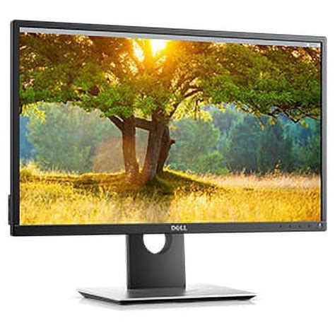 Dell 24 Monitor - P2417H - Walmart.com