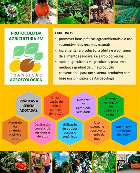 Como A Agroecologia Est Mudando O Brasil Agroneg Cio