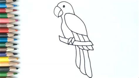 Como Desenhar Um Papagaio Fácil - Como desenhar um papagaio passo a passo Parrot Drawing - YouTube