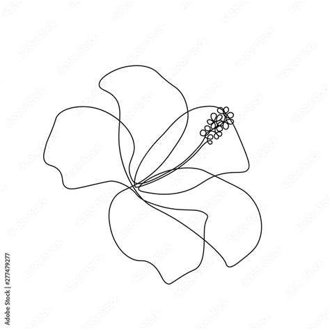 Hibiscus Flower In One Line Art Drawing Style Black Line Sketch On